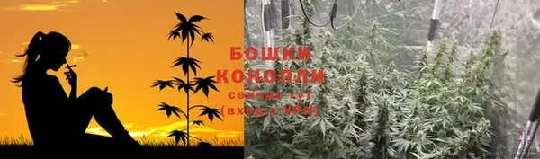 дживик Нягань