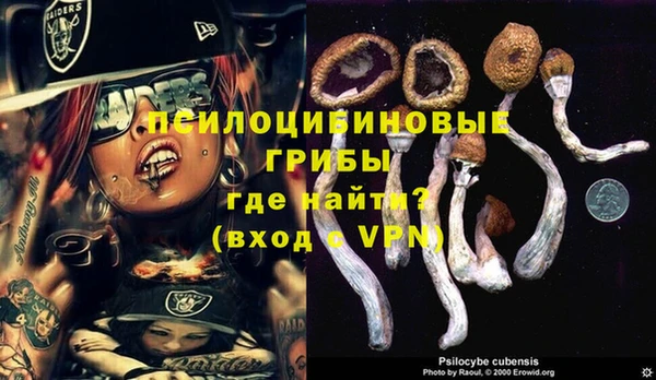 дживик Нягань